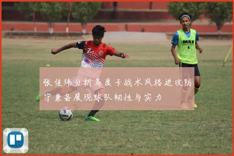 张佳玮分析乌度卡战术风格进攻防守兼备展现球队韧性与实力