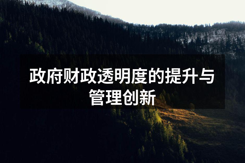 政府财政透明度的提升与管理创新