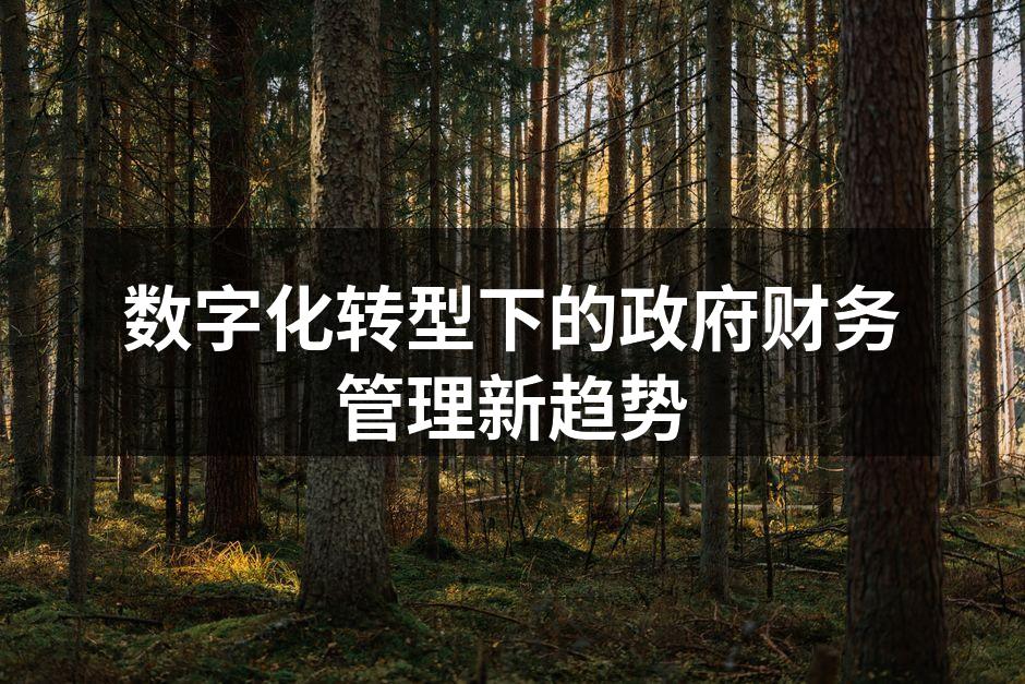 数字化转型下的政府财务管理新趋势